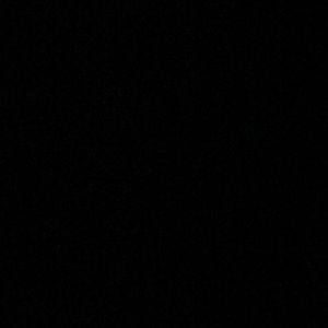 Meet your Posher, Jackson